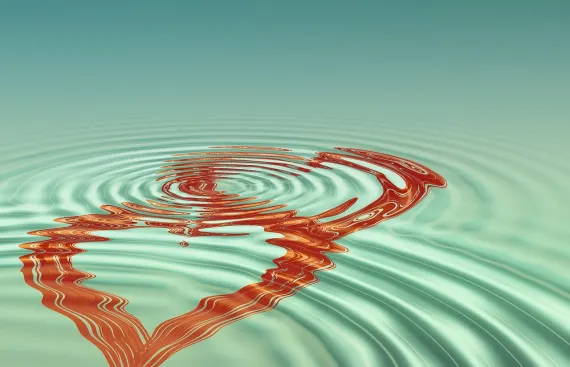 BoVegas Kasino Podpora